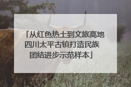从红色热土到文旅高地 四川太平古镇打造民族团结进步示范样本